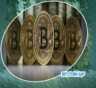 Bitcoin up portugal