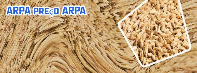 Criptomoeda arpa